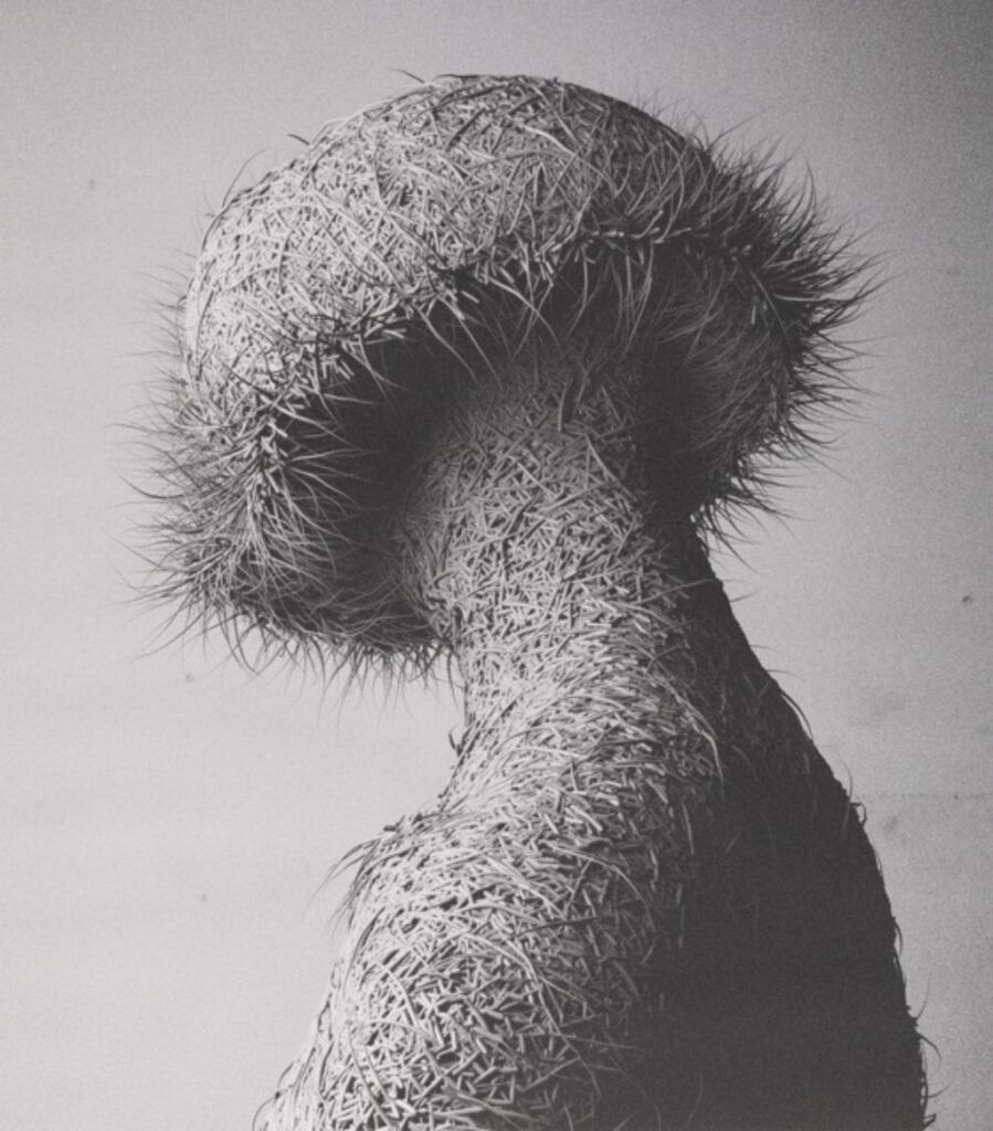 Fur III: Variations II