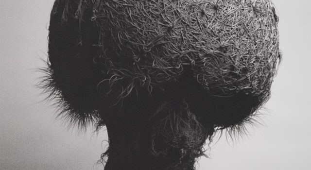 Fur V: Variations I