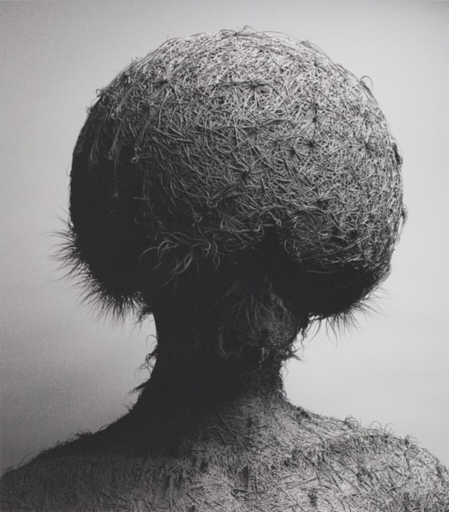 Fur V: Variations I
